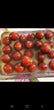 Gulab jamuns
